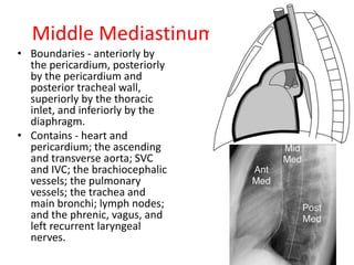Middle Mediastinum
• Boundaries - anteriorly by
the pericardium, posteriorly
by the pericardium and
posterior tracheal wall,
superiorly by the thoracic
inlet, and inferiorly by the
diaphragm.
• Contains - heart and
pericardium; the ascending
and transverse aorta; SVC
and IVC; the brachiocephalic
vessels; the pulmonary
vessels; the trachea and
main bronchi; lymph nodes;
and the phrenic, vagus, and
left recurrent laryngeal
nerves.
 