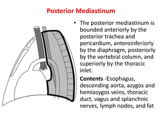 Posterior Mediastinum
• The posterior mediastinum is
bounded anteriorly by the
posterior trachea and
pericardium, anteroinferiorly
by the diaphragm, posteriorly
by the vertebral column, and
superiorly by the thoracic
inlet.
• Contents -Esophagus,
descending aorta, azygos and
hemiazygos veins, thoracic
duct, vagus and splanchnic
nerves, lymph nodes, and fat
 