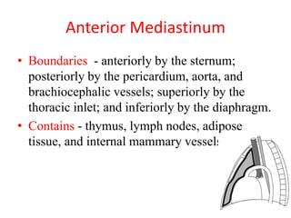 Anterior Mediastinum
• Boundaries - anteriorly by the sternum;
posteriorly by the pericardium, aorta, and
brachiocephalic vessels; superiorly by the
thoracic inlet; and inferiorly by the diaphragm.
• Contains - thymus, lymph nodes, adipose
tissue, and internal mammary vessels
 