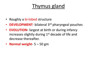 Thymus gland
• Roughly a bi-lobed structure
• DEVELOPMENT- bilateral 3rd pharyngeal pouches
• EVOLUTION- largest at birth or during infancy
increases slightly during 1st decade of life and
decrease thereafter.
• Normal weight- 5 – 50 gm
 