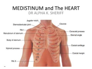 MEDISTINUM and The HEART
DR ALPHA K. SHERIFF
 
