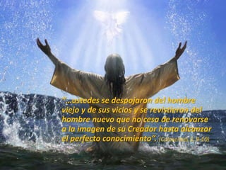 “…ustedes se despojaron del hombre
viejo y de sus vicios y se revistieron del
hombre nuevo que no cesa de renovarse
a la imagen de su Creador hasta alcanzar
el perfecto conocimiento”. (Colosenses 3, 9-10)
 