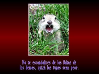 Meditaciones profundas