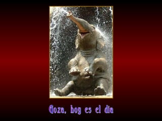 Meditaciones profundas