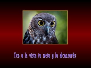 Meditaciones profundas