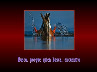 Meditaciones profundas