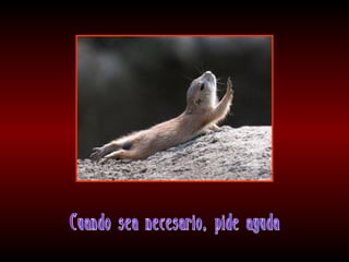 Meditaciones profundas