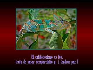 Meditaciones profundas