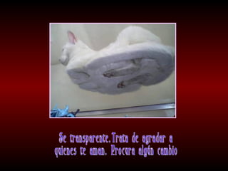 Meditaciones profundas