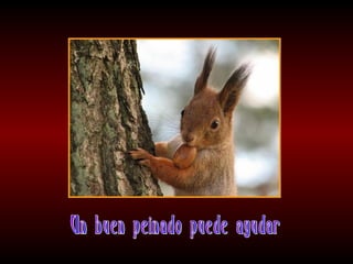 Meditaciones profundas