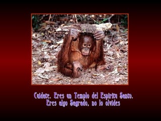 Meditaciones profundas