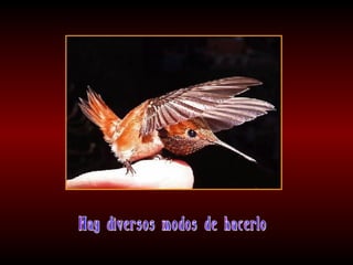 Meditaciones profundas