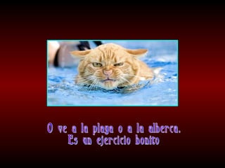 Meditaciones profundas