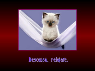 Meditaciones profundas