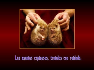 Meditaciones profundas