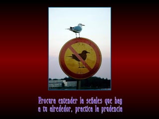 Meditaciones profundas