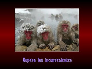 Meditaciones profundas