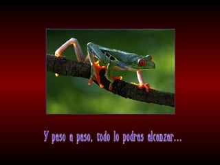 Meditaciones profundas