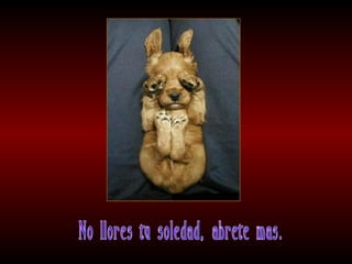 Meditaciones profundas