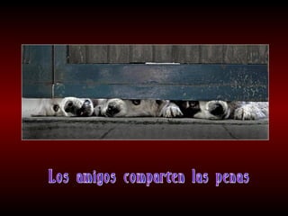 Meditaciones profundas