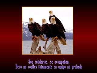 Meditaciones profundas