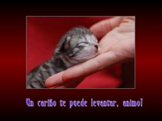 Meditaciones profundas