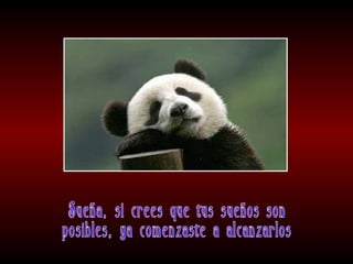 Meditaciones profundas