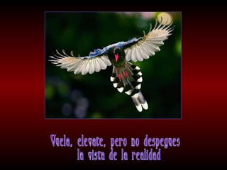 Meditaciones profundas