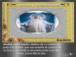 María CorredentoraMaría Corredentora
20 de MAYO20 de MAYO
Meditar sobre nuestro destino de co redenciónMeditar sobre nuestro destino de co redención
junto a la Madre, que nos enseña el camino dejunto a la Madre, que nos enseña el camino de
la Cruz y nos invita a recorrerlo junto a Su Hijo,la Cruz y nos invita a recorrerlo junto a Su Hijo,
Jesús, como Ella lo hizo.Jesús, como Ella lo hizo. Leamos laLeamos la
BIBLIABIBLIA
 