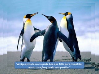 "Amigo verdadeiro é a parte boa que falta para completar  nosso coração quando está partido." 