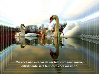 "Se você não é capaz de ser feliz com sua família,  dificilmente será feliz com você mesmo." 