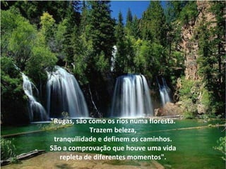 "Rugas, são como os rios numa floresta. Trazem beleza,  tranquilidade e definem os caminhos. São a comprovação que houve uma vida  repleta de diferentes momentos". 