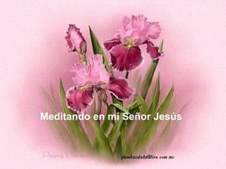 Meditando en mi Señor Jesús   