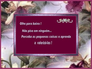 Olhe para baixo ! Não pise em ninguém... Perceba as pequenas coisas e aprenda a  valorizá-las ! 