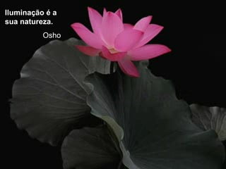 Iluminação é a
sua natureza.
Osho
 