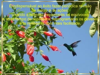 É indispensável ao êxito fazer periódica revisão de metas e de ações. Usando a reflexão, repassarás os equívocos e terás tempo de repará-los, reprogramarás os deveres e te renovarás com mais facilidade. 