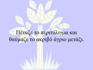 Πέταξε το περιτύλιγμα και θαύμαζε το ακριβό άγριο μετάξι . 