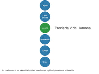 La vida humana es una oportunidad preciada para el trabajo espiritual, para alcanzar la liberación
Enojo
Apego
Ignorancia
Deseo
Celos
Envidia
Orgullo
Preciada Vida Humana
 