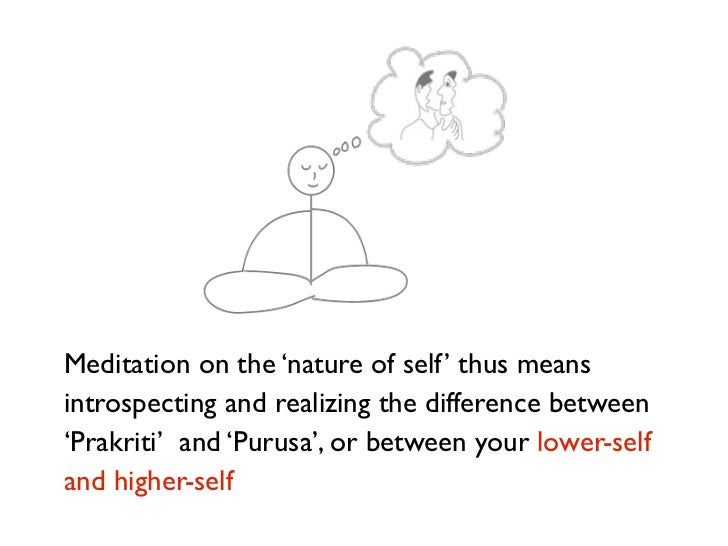 What Ancient Wisdom And Modern Science Say About Meditation - 