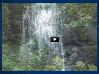 *Video by QuakerVille via YouTube
 