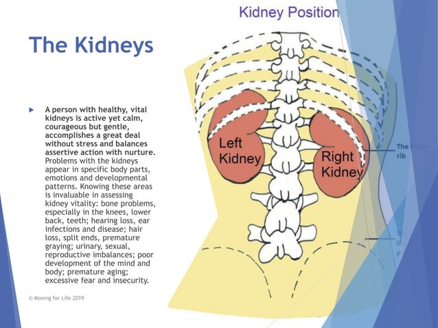 Illustration of Meditation And Stress Relief