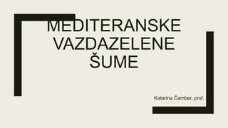 MEDITERANSKE
VAZDAZELENE
ŠUME
Katarina Čamber, prof.
 