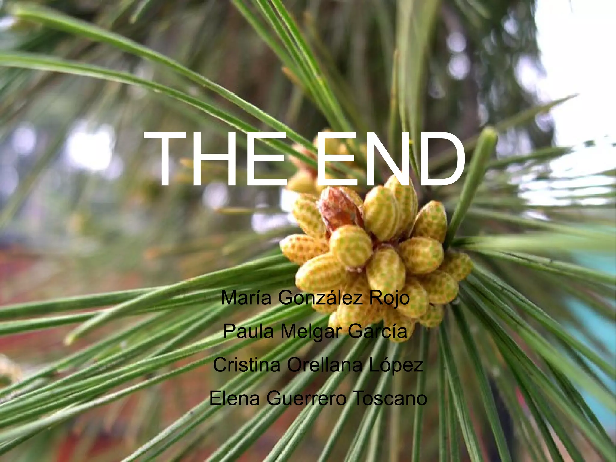 THE END
María González Rojo
Paula Melgar García
Cristina Orellana López
Elena Guerrero Toscano