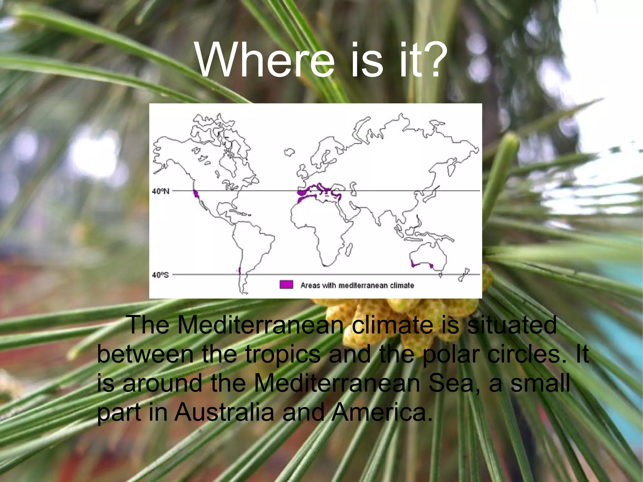 Where is it?
The Mediterranean climate is situated
between the tropics and the polar circles. It
is around the Mediterranean Sea, a small
part in Australia and America.