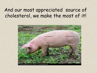And ourmostappreciatedsource of cholesterol, wemakethemost of it!