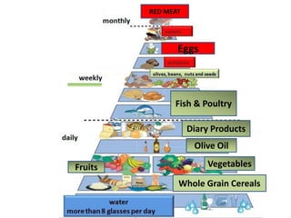 RED MEAT
Whole Grain Cereals
Fruits Vegetables
Olive Oil
Diary Products
Fish & Poultry
Eggs
 
