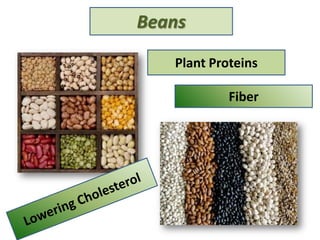 Plant Proteins
Fiber
Beans
 