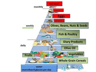 RED MEAT
Whole Grain Cereals
Fruits Vegetables
Olive Oil
Diary Products
Fish & Poultry
Olives, Beans, Nuts & Seeds
Eggs
 