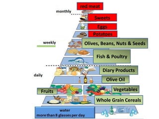 red meat
Whole Grain Cereals
Fruits Vegetables
Olive Oil
Diary Products
Fish & Poultry
Olives, Beans, Nuts & Seeds
Eggs
Potatoes
Sweets
 