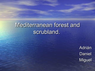 Mediterranean forest and
      scrubland.

                       Adrián
                       Daniel
                       Miguel
 